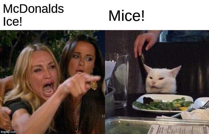 Woman Yelling At Cat Meme | McDonalds 
Ice! Mice! | image tagged in memes,woman yelling at cat | made w/ Imgflip meme maker