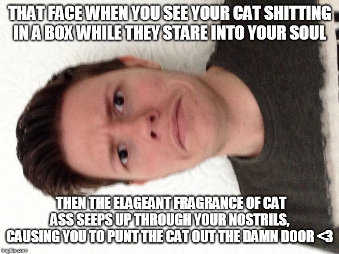 A random meme.... | THAT FACE WHEN YOU SEE YOUR CAT SHITTING IN A BOX WHILE THEY STARE INTO YOUR SOUL; THEN THE ELAGEANT FRAGRANCE OF CAT ASS SEEPS UP THROUGH YOUR NOSTRILS, CAUSING YOU TO PUNT THE CAT OUT THE DAMN DOOR <3 | image tagged in a random meme | made w/ Imgflip meme maker