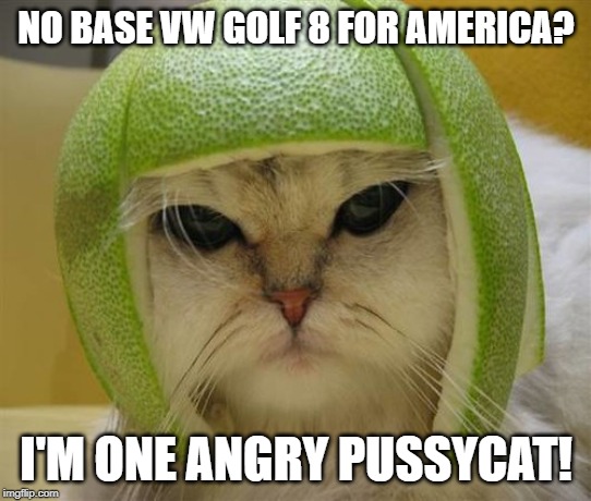 Cat in Lime Football Helmet Mark 8 VW Golf | NO BASE VW GOLF 8 FOR AMERICA? I'M ONE ANGRY PUSSYCAT! | image tagged in cat in lime football helmet,bring the mark 8 golf to the usa | made w/ Imgflip meme maker