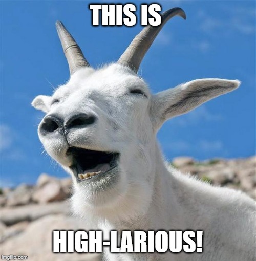 Laughing Goat Meme | THIS IS HIGH-LARIOUS! | image tagged in memes,laughing goat | made w/ Imgflip meme maker