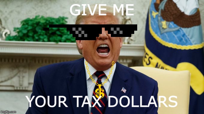 Trump 2020 | GIVE ME; YOUR TAX DOLLARS | image tagged in donald trump,tax dollars | made w/ Imgflip meme maker