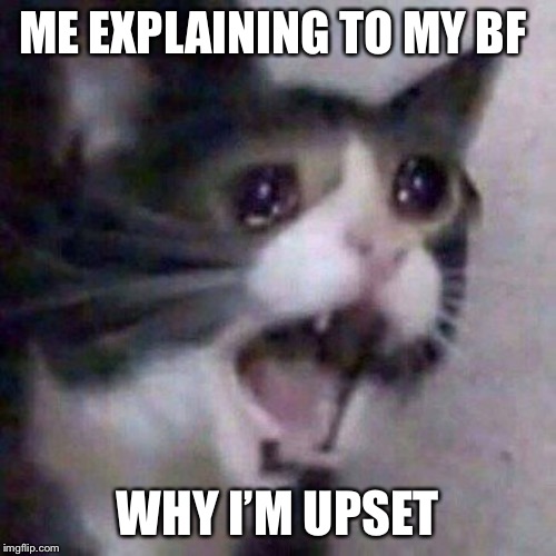 Screaming Cat meme | ME EXPLAINING TO MY BF; WHY I’M UPSET | image tagged in screaming cat meme | made w/ Imgflip meme maker