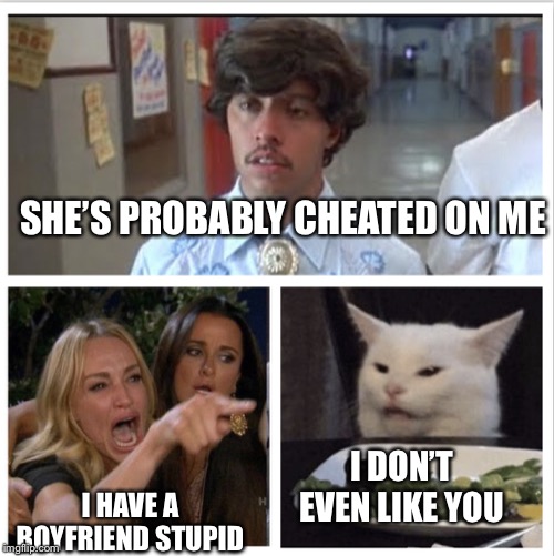 Lady yelling at cat meme | SHE’S PROBABLY CHEATED ON ME; I HAVE A BOYFRIEND STUPID; I DON’T EVEN LIKE YOU | image tagged in lady yelling at cat meme | made w/ Imgflip meme maker