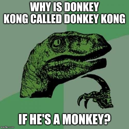 Philosoraptor Meme | WHY IS DONKEY KONG CALLED DONKEY KONG; IF HE'S A MONKEY? | image tagged in memes,philosoraptor | made w/ Imgflip meme maker