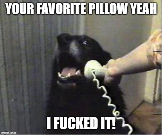 Yes this is dog | YOUR FAVORITE PILLOW YEAH I F**KED IT! | image tagged in yes this is dog | made w/ Imgflip meme maker