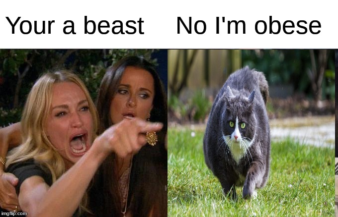 Woman Yelling At Cat | Your a beast; No I'm obese | image tagged in memes,woman yelling at cat | made w/ Imgflip meme maker