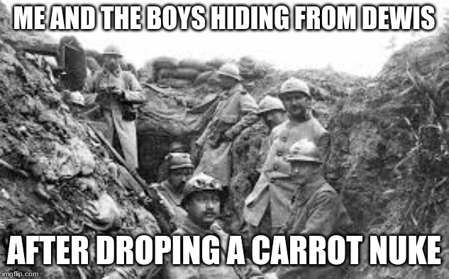 world war 1 | ME AND THE BOYS HIDING FROM DEWIS; AFTER DROPING A CARROT NUKE | image tagged in world war 1 | made w/ Imgflip meme maker