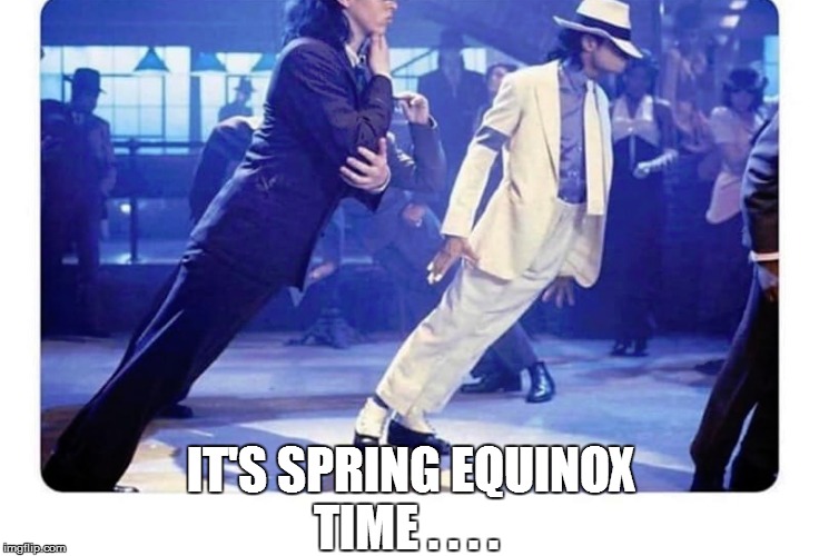 IT'S SPRING EQUINOX
TIME . . . . | image tagged in funny,funny memes,funny meme,too funny,lol so funny,bad pun | made w/ Imgflip meme maker