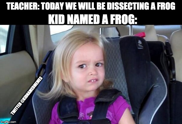 wtf girl | TEACHER: TODAY WE WILL BE DISSECTING A FROG; KID NAMED A FROG:; TWITTER @KIDNAMEDMEMES | image tagged in wtf girl | made w/ Imgflip meme maker