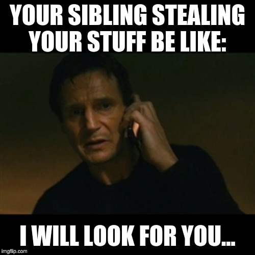 Liam Neeson Taken Meme | YOUR SIBLING STEALING YOUR STUFF BE LIKE:; I WILL LOOK FOR YOU... | image tagged in memes,liam neeson taken | made w/ Imgflip meme maker