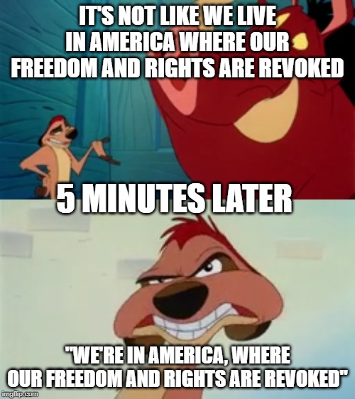 Timon gets Political | IT'S NOT LIKE WE LIVE IN AMERICA WHERE OUR FREEDOM AND RIGHTS ARE REVOKED; 5 MINUTES LATER; "WE'RE IN AMERICA, WHERE OUR FREEDOM AND RIGHTS ARE REVOKED" | image tagged in timon,america,rights,comedy | made w/ Imgflip meme maker