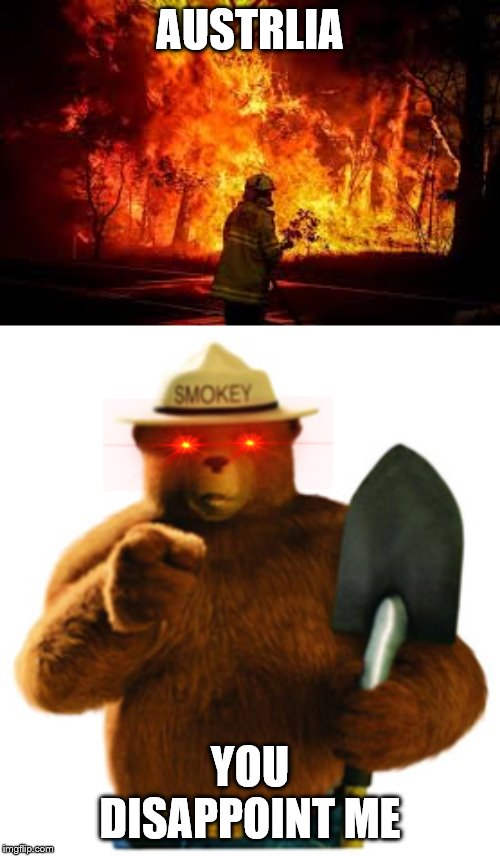 AUSTRLIA; YOU DISAPPOINT ME | image tagged in smokey bear,australia's fires | made w/ Imgflip meme maker