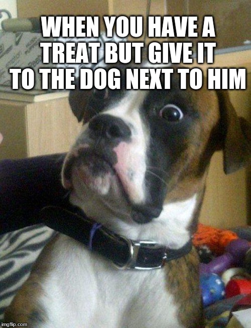 Blankie the Shocked Dog | WHEN YOU HAVE A TREAT BUT GIVE IT TO THE DOG NEXT TO HIM | image tagged in blankie the shocked dog | made w/ Imgflip meme maker