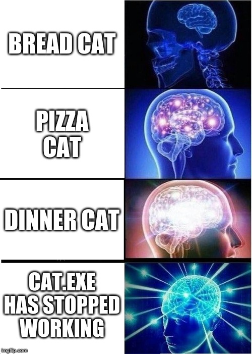 Expanding Brain Meme | BREAD CAT; PIZZA CAT; DINNER CAT; CAT.EXE HAS STOPPED WORKING | image tagged in memes,expanding brain,cats | made w/ Imgflip meme maker