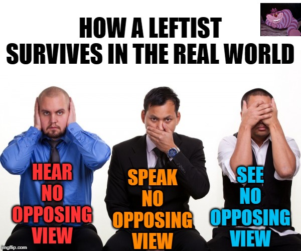 When your narrative is to weak to stand up to debate. | HOW A LEFTIST SURVIVES IN THE REAL WORLD; SEE NO OPPOSING VIEW; HEAR NO OPPOSING VIEW; SPEAK NO OPPOSING VIEW | image tagged in no evil | made w/ Imgflip meme maker