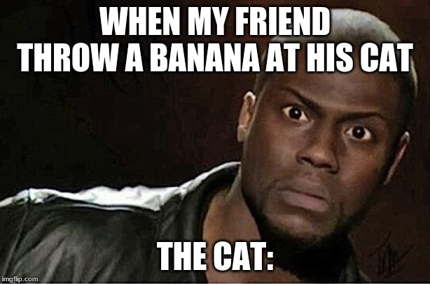 Kevin Hart | WHEN MY FRIEND THROW A BANANA AT HIS CAT; THE CAT: | image tagged in memes,kevin hart,cats | made w/ Imgflip meme maker