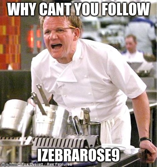 Chef Gordon Ramsay | WHY CANT YOU FOLLOW; IZEBRAROSE9 | image tagged in memes,chef gordon ramsay | made w/ Imgflip meme maker