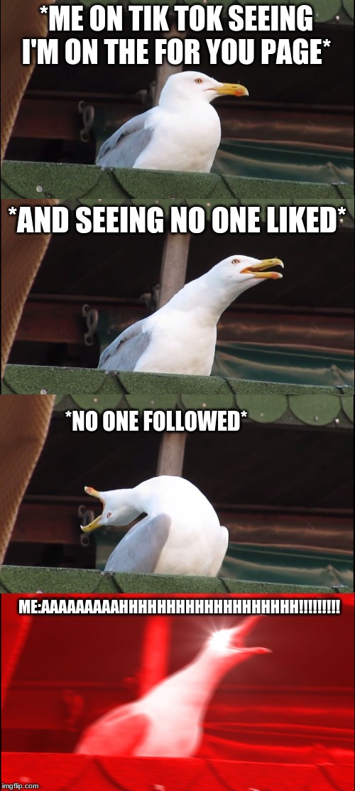 Inhaling Seagull Meme | *ME ON TIK TOK SEEING I'M ON THE FOR YOU PAGE*; *AND SEEING NO ONE LIKED*; *NO ONE FOLLOWED*; ME:AAAAAAAAAHHHHHHHHHHHHHHHHHHH!!!!!!!!! | image tagged in memes,inhaling seagull | made w/ Imgflip meme maker