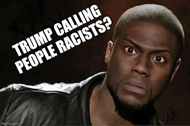 The pot speaks | TRUMP CALLING PEOPLE RACISTS? | image tagged in memes,kevin hart,donald trump | made w/ Imgflip meme maker