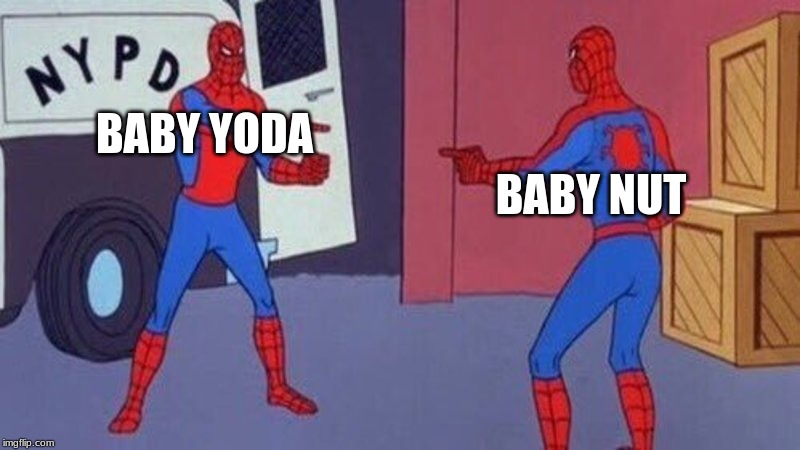 spiderman pointing at spiderman | BABY NUT; BABY YODA | image tagged in spiderman pointing at spiderman | made w/ Imgflip meme maker