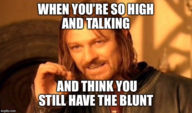 One Does Not Simply Meme | WHEN YOU’RE SO HIGH
AND TALKING; AND THINK YOU STILL HAVE THE BLUNT | image tagged in memes,one does not simply | made w/ Imgflip meme maker