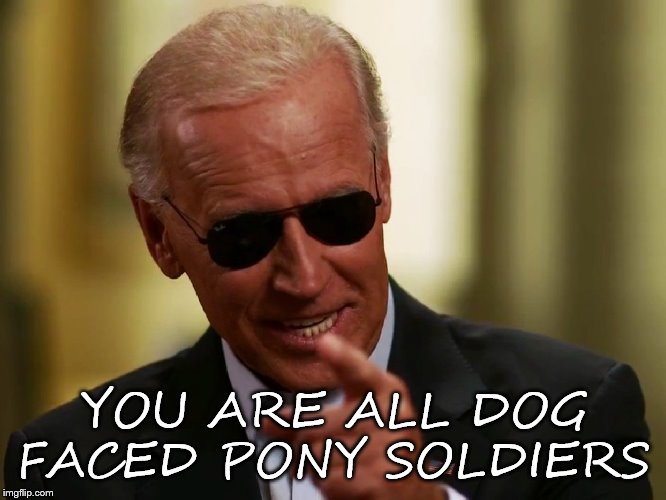 Cool Joe Biden | YOU ARE ALL DOG FACED PONY SOLDIERS | image tagged in cool joe biden | made w/ Imgflip meme maker