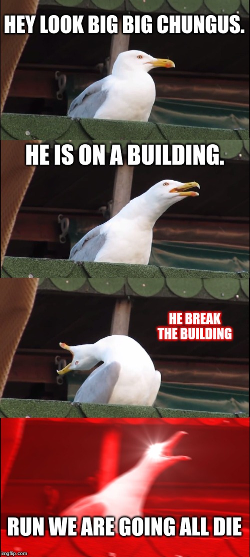 when big chungus comes to ur city | HEY LOOK BIG BIG CHUNGUS. HE IS ON A BUILDING. HE BREAK THE BUILDING; RUN WE ARE GOING ALL DIE | image tagged in memes,inhaling seagull | made w/ Imgflip meme maker