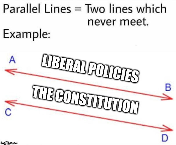 Parallel Lines | LIBERAL POLICIES; THE CONSTITUTION | image tagged in parallel lines,liberals | made w/ Imgflip meme maker