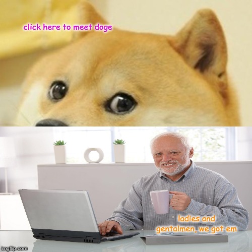 Doge Meme | click here to meet doge; ladies and gentalmen, we got em | image tagged in memes,doge | made w/ Imgflip meme maker