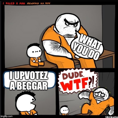 Srgrafo dude wtf | WHAT YOU DO; I UPVOTEZ A BEGGAR | image tagged in srgrafo dude wtf | made w/ Imgflip meme maker