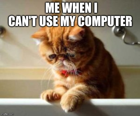 ME WHEN I CAN'T USE MY COMPUTER | image tagged in cat,sad,depressed cat | made w/ Imgflip meme maker