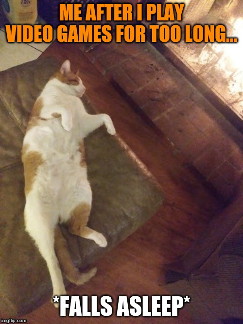 lazy fat cat | ME AFTER I PLAY VIDEO GAMES FOR TOO LONG... *FALLS ASLEEP* | image tagged in lazy fat cat | made w/ Imgflip meme maker