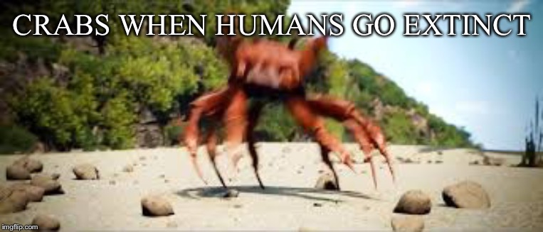crab rave | CRABS WHEN HUMANS GO EXTINCT | image tagged in crab rave | made w/ Imgflip meme maker