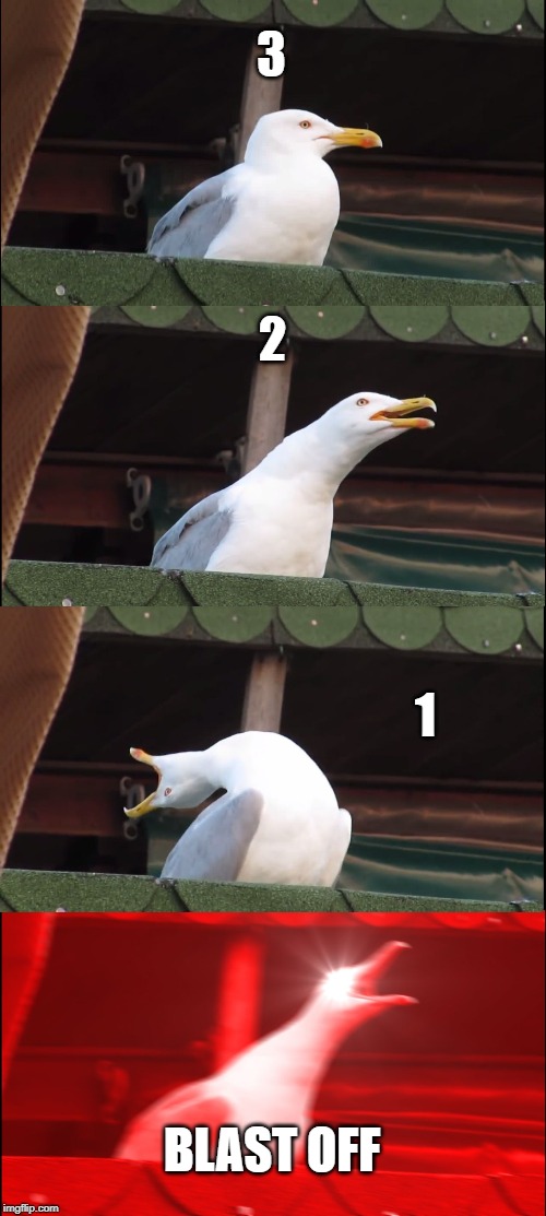 Inhaling Seagull Meme | 3 2 1 BLAST OFF | image tagged in memes,inhaling seagull | made w/ Imgflip meme maker