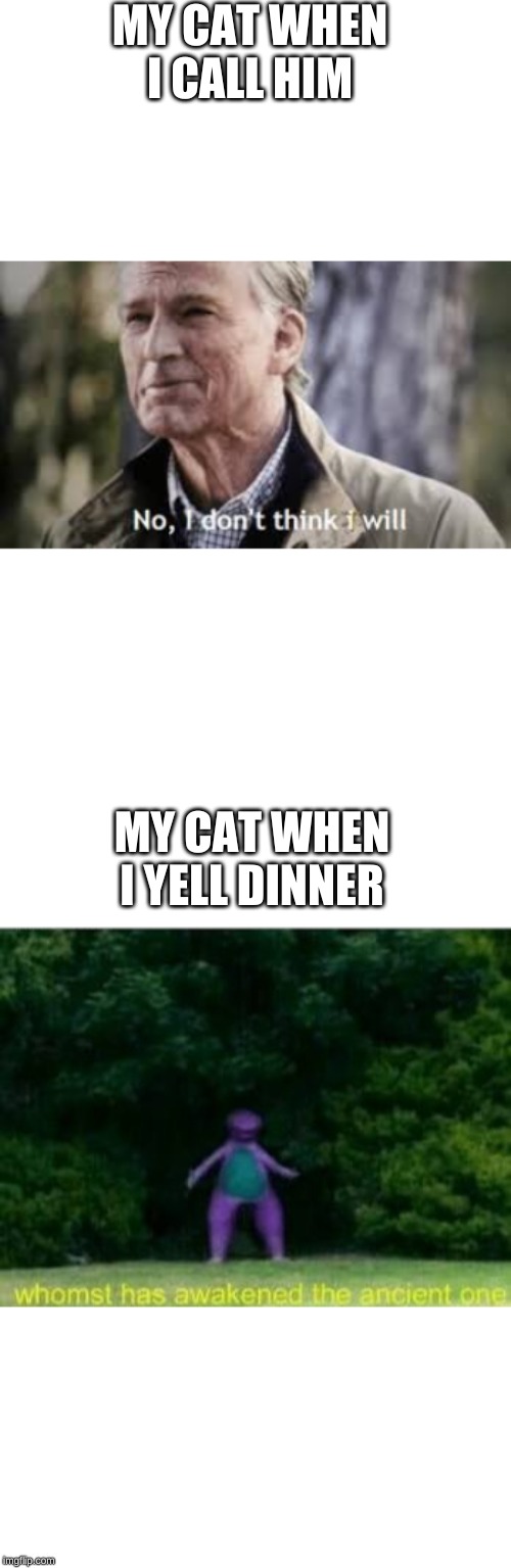 My Kitteh | MY CAT WHEN I CALL HIM; MY CAT WHEN I YELL DINNER | image tagged in whomst has awakened the ancient one | made w/ Imgflip meme maker