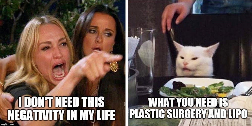 Smudge the cat | WHAT YOU NEED IS PLASTIC SURGERY AND LIPO; I DON'T NEED THIS NEGATIVITY IN MY LIFE | image tagged in smudge the cat | made w/ Imgflip meme maker