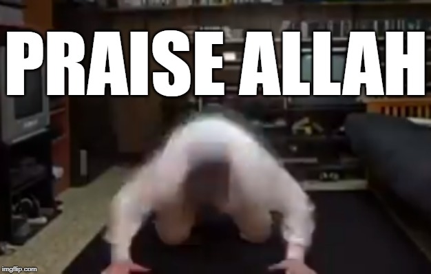 thank you avgn very cool | PRAISE ALLAH | image tagged in avgn | made w/ Imgflip meme maker
