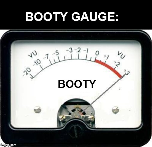 Irony Meter | BOOTY BOOTY GAUGE: | image tagged in irony meter | made w/ Imgflip meme maker