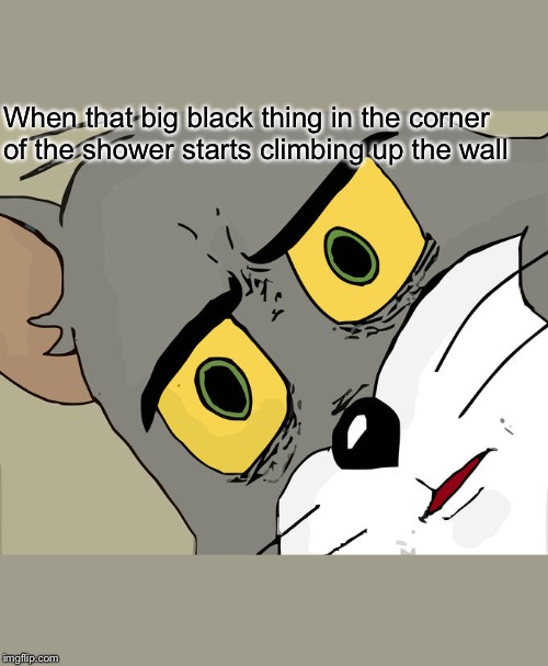 Unsettled Tom | When that big black thing in the corner of the shower starts climbing up the wall | image tagged in memes,unsettled tom | made w/ Imgflip meme maker