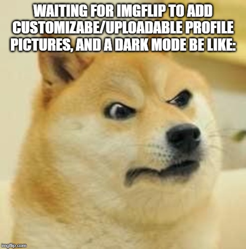 angry doge | WAITING FOR IMGFLIP TO ADD CUSTOMIZABE/UPLOADABLE PROFILE PICTURES, AND A DARK MODE BE LIKE: | image tagged in angry doge | made w/ Imgflip meme maker