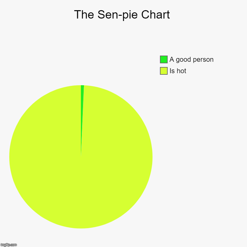 The Sen-pie Chart | Is hot, A good person | image tagged in charts,pie charts | made w/ Imgflip chart maker