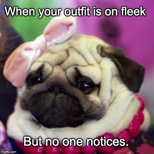 Dog on fleek | When your outfit is on fleek; But no one notices. | image tagged in dog,funny,cute,fleek | made w/ Imgflip meme maker