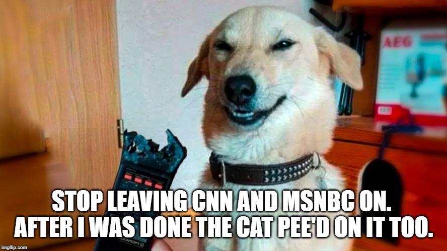 Stop or I keep chewing | STOP LEAVING CNN AND MSNBC ON.  AFTER I WAS DONE THE CAT PEE'D ON IT TOO. | image tagged in fake news | made w/ Imgflip meme maker