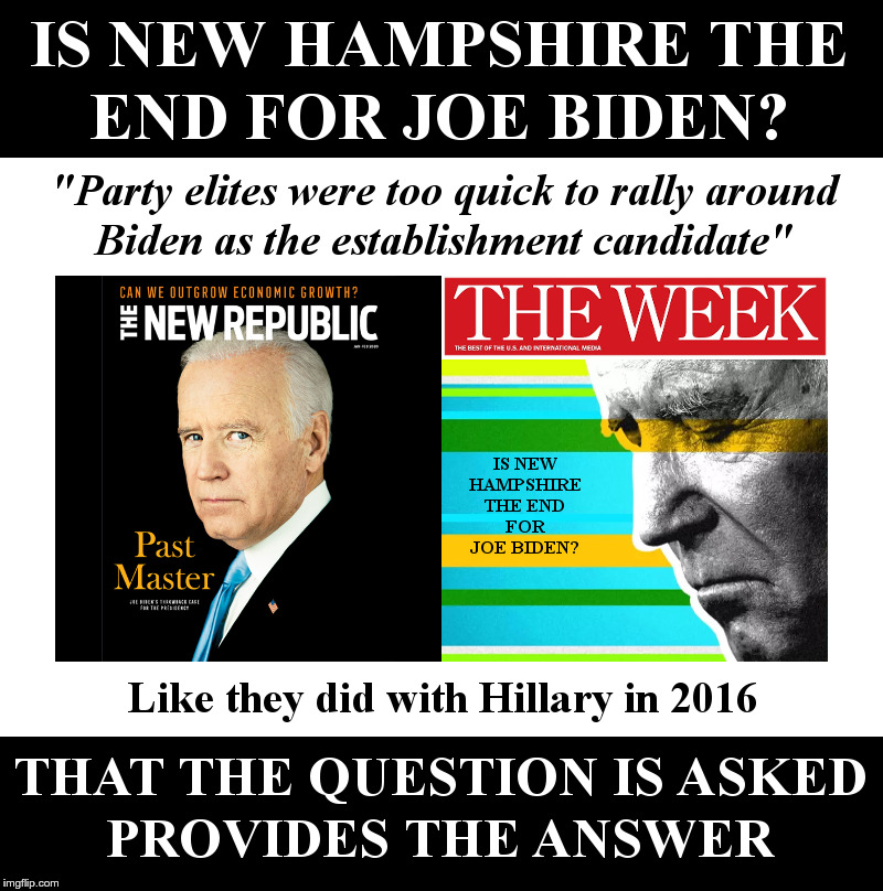 Is New Hampshire The End for Joe Biden? | image tagged in joe biden,new hampshire,democrats,dog,face,pony | made w/ Imgflip meme maker