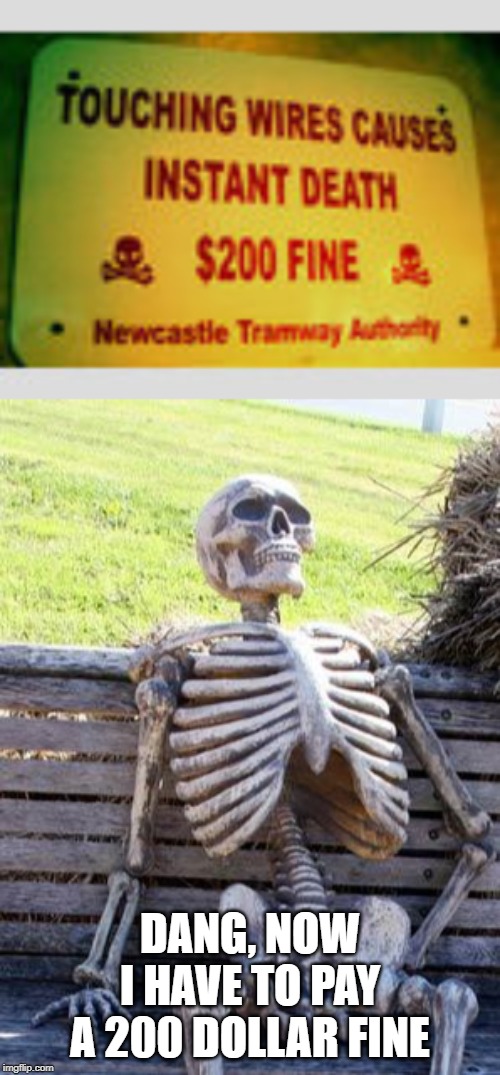 Don't touch the wires! | DANG, NOW I HAVE TO PAY A 200 DOLLAR FINE | image tagged in memes,waiting skeleton,funny,sign | made w/ Imgflip meme maker