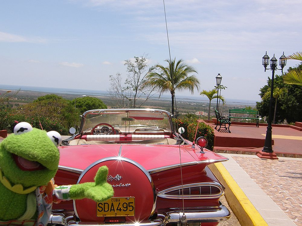 Kermit in Cuba Blank Meme Template