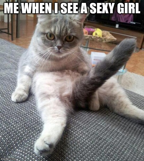 Sexy Cat Meme | ME WHEN I SEE A SEXY GIRL | image tagged in memes,sexy cat | made w/ Imgflip meme maker