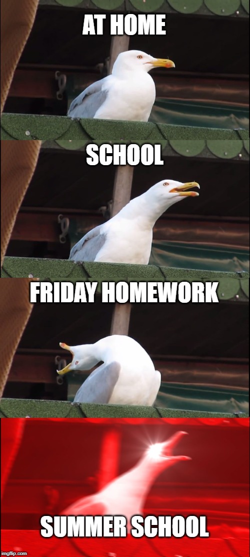 Inhaling Seagull | AT HOME; SCHOOL; FRIDAY HOMEWORK; SUMMER SCHOOL | image tagged in memes,inhaling seagull | made w/ Imgflip meme maker