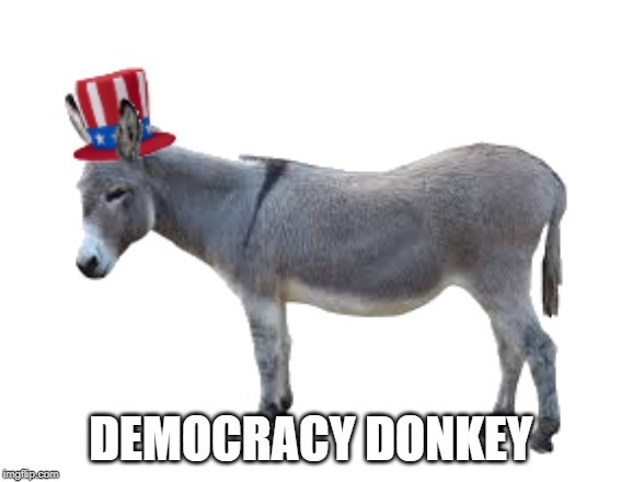 Democracy Donkey | DEMOCRACY DONKEY | image tagged in donkey,democracy,democracy donkey | made w/ Imgflip meme maker