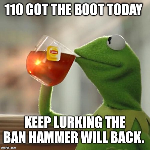 But That's None Of My Business Meme | 110 GOT THE BOOT TODAY KEEP LURKING THE BAN HAMMER WILL BACK. | image tagged in memes,but thats none of my business,kermit the frog | made w/ Imgflip meme maker